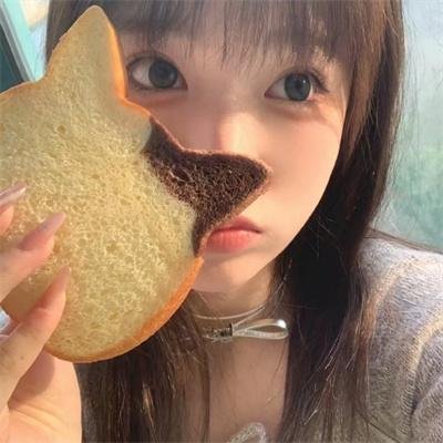 多龙芝