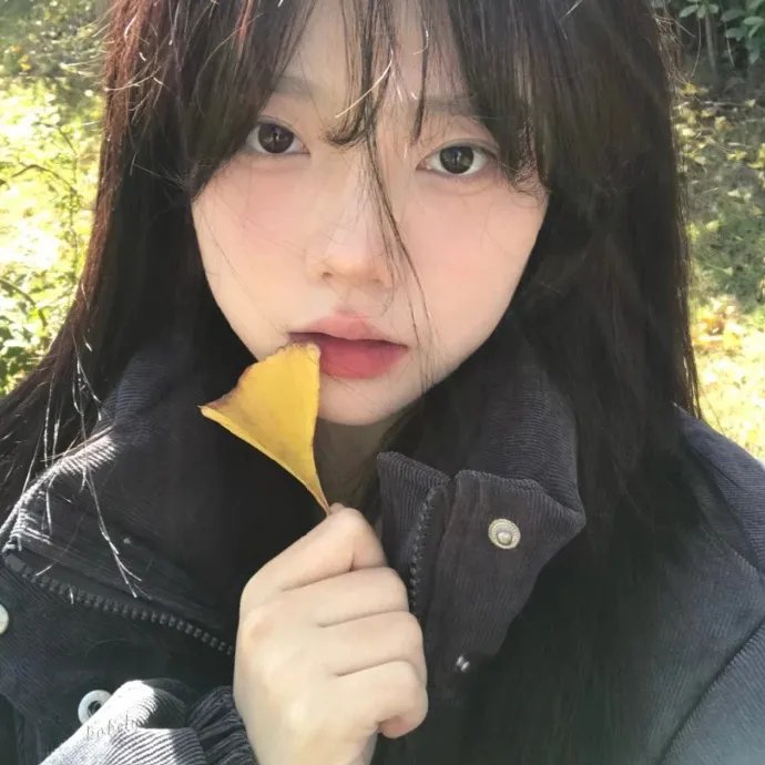 父仇者