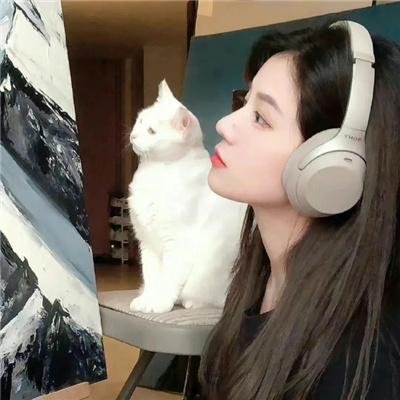 长颈鹿扎拉法